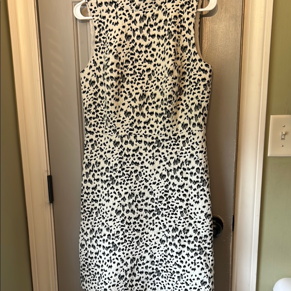 Elegant Black and White Sleeveless Dress